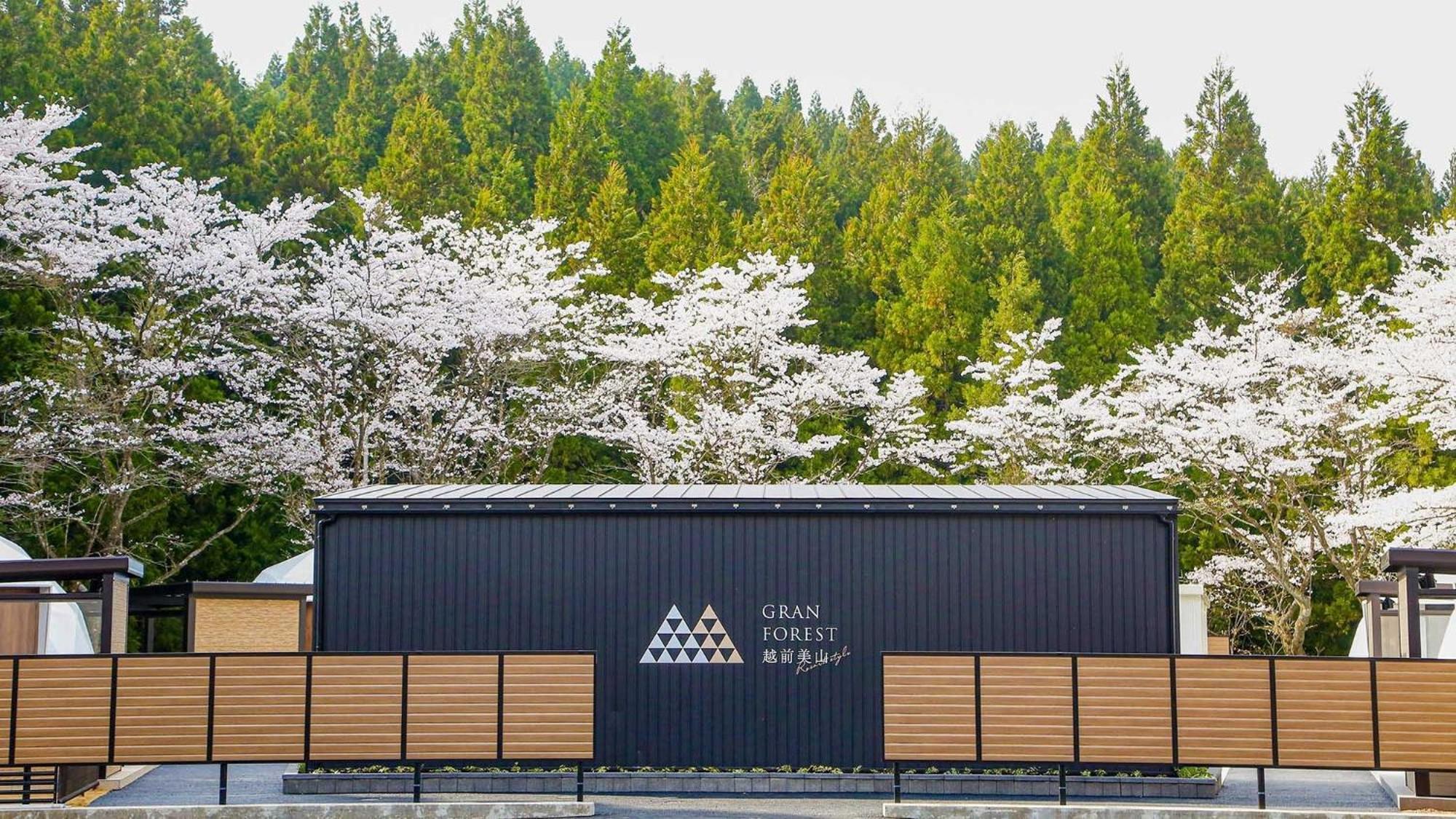 Lupo Forest "Gran Forest Echizen Miyama" - Vacation Stay 07137V 福井市 エクステリア 写真